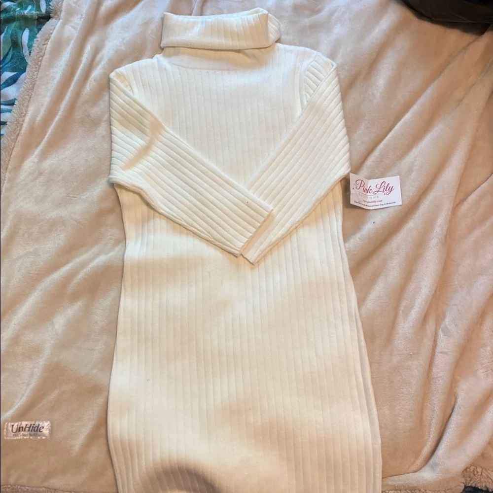Sweater Dress NWOT